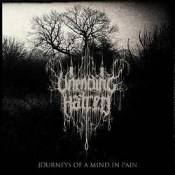 Unending Hatred : Journeys of a Mind in Pain